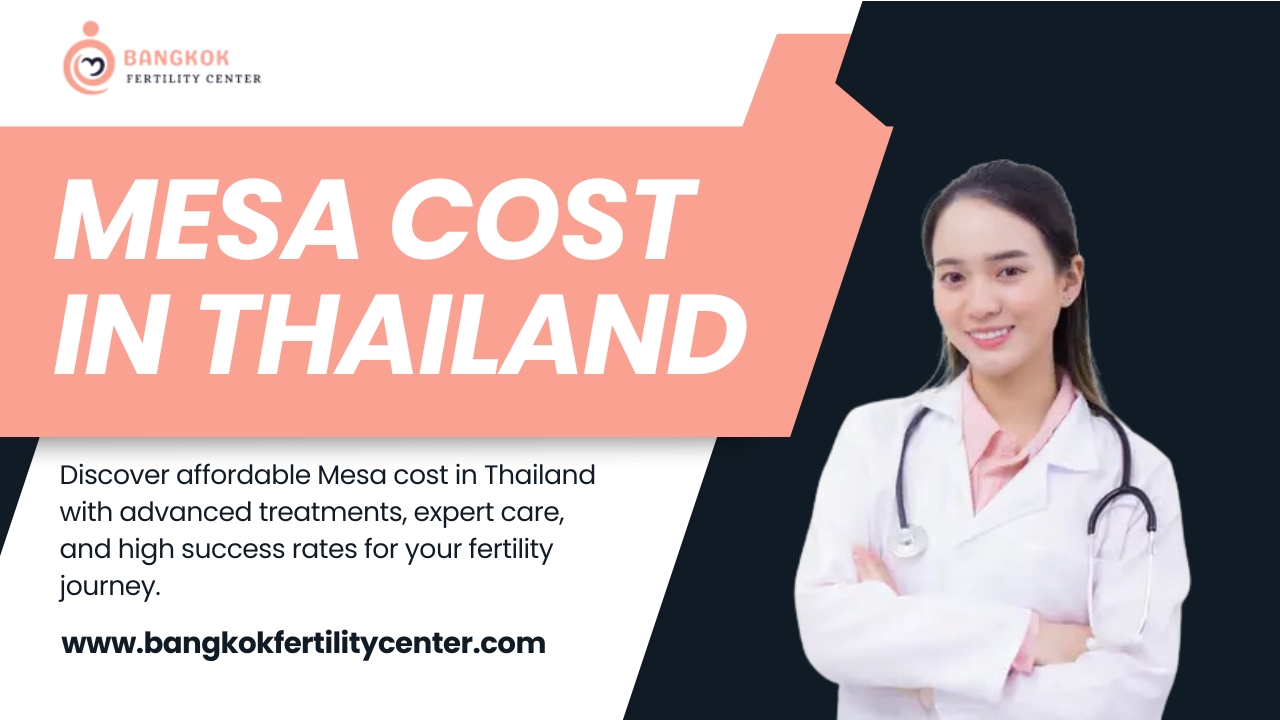 Mesa Cost in Thailand